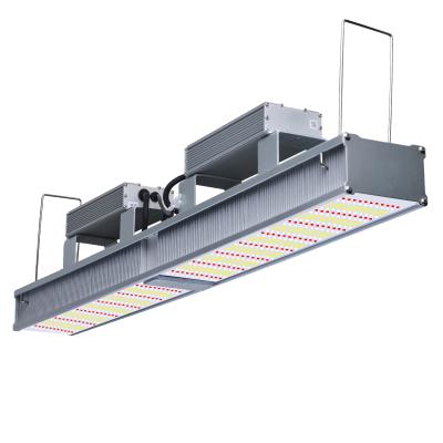 China Seed Starting Super Power High PPE>2.5Umol/J 640W Led Plant Grow Light Prolong Increase Flowering Production for sale