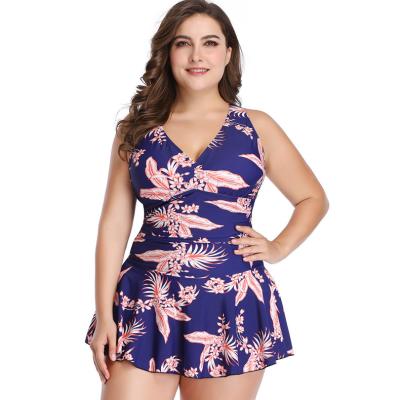 China Breathable Europe and the United States selling nylon/spandex print dress hot spring two-piece swimsuit large size for sale