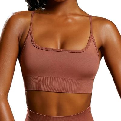 China 2022 yoga sports bra breathable yoga bra seamless tops new popular sports bra in Europe and America yoga for sale