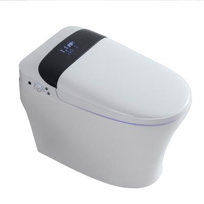 China Smart Bathroom Appliances Double-Flow Bathroom Toilet Seat Intelligent Automatic Flushing One Piece Toilet for sale