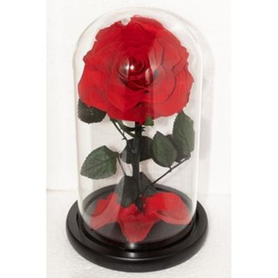 China Hot Leading Immortal Infinity Rose Flower Preserved Roses Box Durable Factory 5-6cm Long Lasting for sale