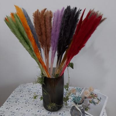 China Fashional Gift Good Quality Pampas Dried Decoration Artificial Flowers Backdrop Wedding for sale