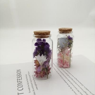 China Durable Hot Sale Preserved Flower Mini Dried Flowers in Glass Bottle for sale