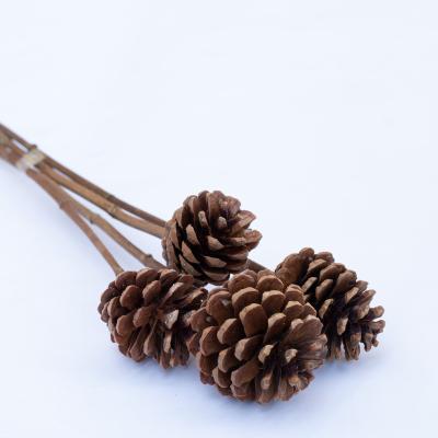 China Top Grade Eco - Friendly Dried Flower Baubles Native Flowers Pinecone Ornaments Christmas Tree Hanging for sale