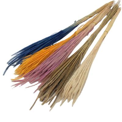 China Wholesale Durable Natural Fluffy Dry Grass Decorative Aaron's Home Wedding Flower Stem for sale