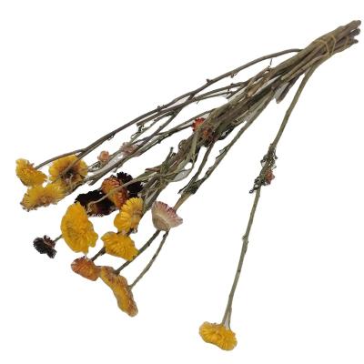 China Valentine Gifts Dried Wheat Straw Flower Home Furnishing Durable Decoration Dried Chrysanthemum for sale