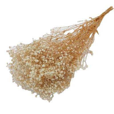 China Plant Home Decoration Wedding Decoration Baby's Breath Flower Preserved Gypsophila for sale