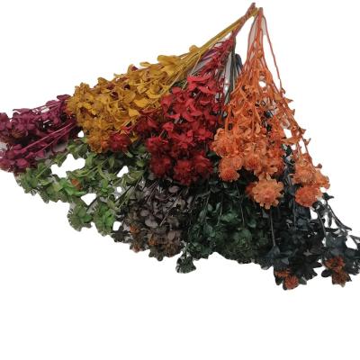 China Eco-friendly Hot Selling Dried Colorful Preserved Flower Household Decoration Pineapple Chrysanthemum for sale