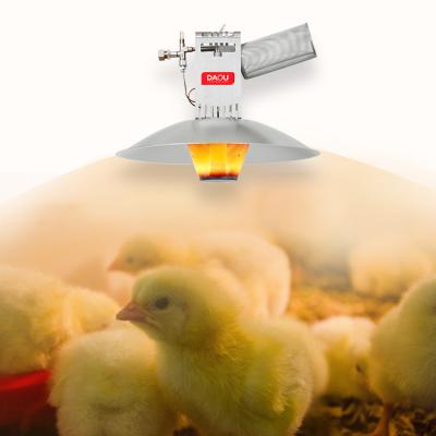 China Farms DAOU Stainless Steel Automatic Baby Chick Gas Brooder Used In Poultry House Farm Equipment for sale