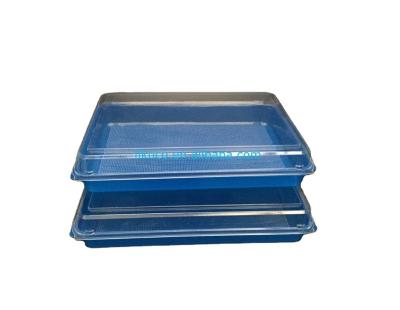 China High Quality Plastic Food Meal Box Food Container Box 1 Compartment for sale