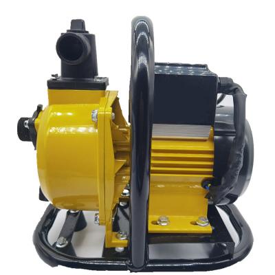 China Automotive industry 1 inch frequency conversion intelligent DC brushless centrifugal pump self-priming agricultural irrigation for sale