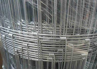 China Cattle Galvanized Fencing Mesh 2mm Diameter 0.4m - 1.8m Width for sale