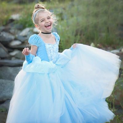 China DSN1401 Winter Frozen Kids Princess Elsa Tutu Fancy Cinderella Bridesmaids Dress Viable Wedding DSN1401 for sale