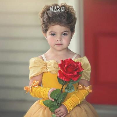 China DSN1567 Viable Little Girl Dress Beautiful Princess Yellow Vestido For Bridesmaids Cosplay And Role Playing Dress Gowns for sale