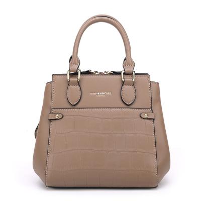 China Fashionable Multifunctional Handbag Fashion Large Capacity Shoulder Bag Single Messenger Bag for sale