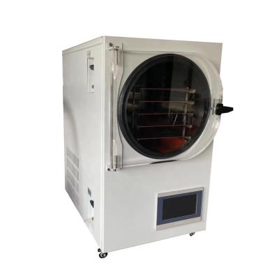 China Mini Home Freeze Dryer For Good Food Processing Meat Vegetable Fruit Price for sale