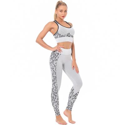 China Factory Direct Selling Breathable Women Workout Seamless GYM Leopard Leggings Sets Ladies for sale