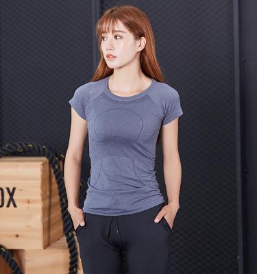 China Lady Yoga Top Women Seamless Breathable Sports Shirt Factory Price Simple Design Short Sleeve Adults Plus Size Lightweight Solid for sale