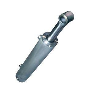 China Stainless Steel Hydraulic Cylinders--Custom Make for sale