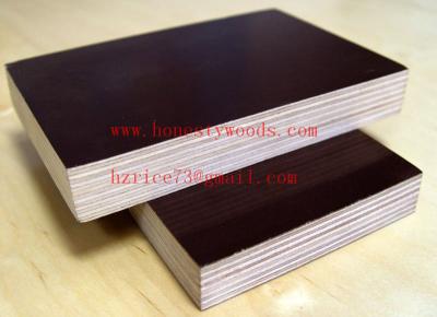 China poplar plywood for sale