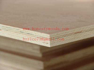 China poplar plywood for sale