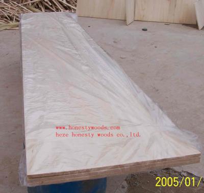 China Paulownia Jointed boards/paulownia EG boards  AA/AB/ABC/BC GRADE for sale