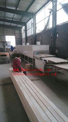 China Paulownia EG Primed boards/Paulownia FJ primed boards for sale