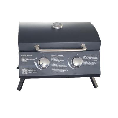 China Metal Housing Smokeless Propane 2 Burner Rotisserie Bbq Barbecue Oven Stove Stainless Steel Portable Grill Gas for sale