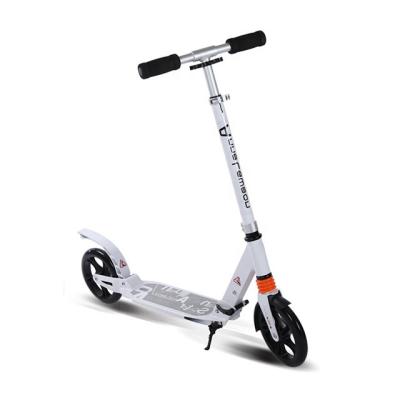 China Hot Selling New Outdoor Activities New Kick-Resistant Foldable Two Wheel Off Road Sharing Foldable Adult Scooter for sale