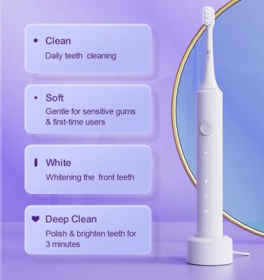 China Dupont Brush Infly T03S Waterproof Adult Ultra Soft Filling Sonic Electric Toothbrushes Adult Bristle Type C for sale