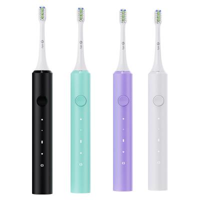 China Teeth Cleaning Toothbrush Manufacturer Private Branding Sonic Electric Toothbrush Teeth Clean For Adult for sale