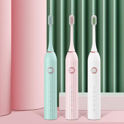 China Lovely Couples Private Label Battery Powered Super Soft Bristle Head Eco Friendly Electric Toothbrush For Adult for sale