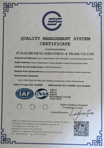 ISO9001 - Fujian Bicheng Industrial & Trade Co., Ltd.