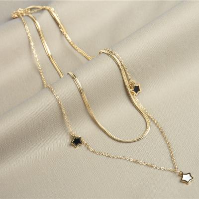 China Fashionable five-pointed shell women's five-pointed shell stainless steel niche clavicle chain clavicle chain light luxury necklace for sale