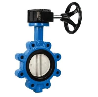 China General Economic Worm Gear Wafer Lt Butterfly Valve DN300 Butterfly Valve for sale