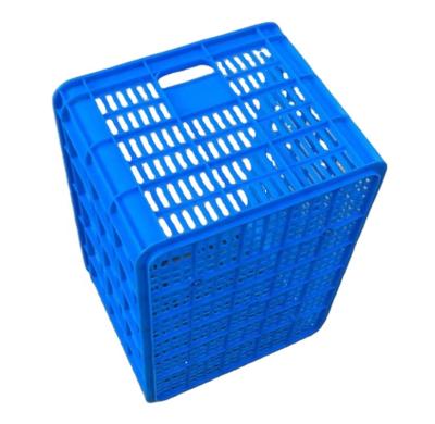 China Recyclable Plastic Storage Crate Vegetable Fruit for sale