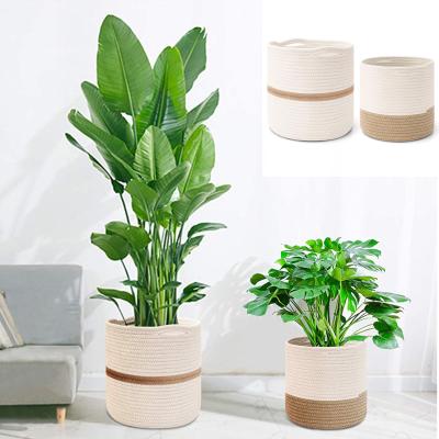 China High Quality Viable Modern Home Decor Organizer, Cotton Rope Plant Materials Storage Basket Indoor Basket for sale