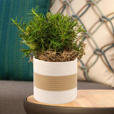 China Modern Indoor Cotton Rope Plant Basket Tidy Up Planter/Storage/Wholesale Christmas Baskets/Woven Basket for sale