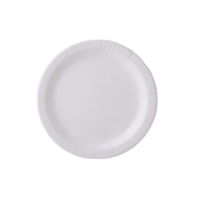 China Casual Daily Paper Plate Lunch Or Dinner Size Light Printed Disposable Dishes for sale