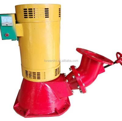 China Hotel prices 20kw cheap brushless induction nozzle turgo single turbine generator for sale water powered mini hydro turbine for sale