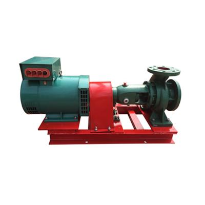 China Mixed Flow Stainless Steel Or Cast Iron Mini Personal Hydro Turbine Generator Hydro Power Plant for sale