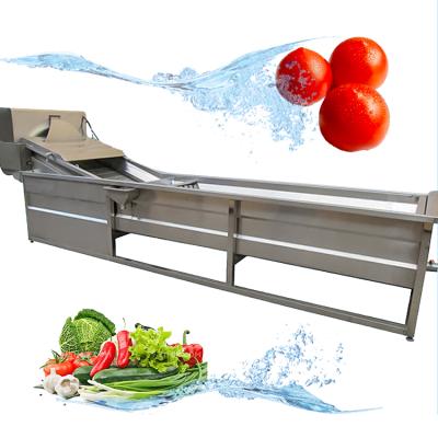 China Garlic Vegetable Carrot Pepper Machine Belt Conveyor Fruit Vegetable Seal Cleaning Machine for sale