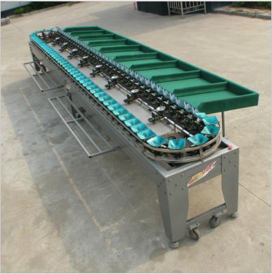 China High Efficiency Easy Operate Mangosteen Cherry Almond Guava Size Sorting Machine Peanut Sorting Grading Machine for sale