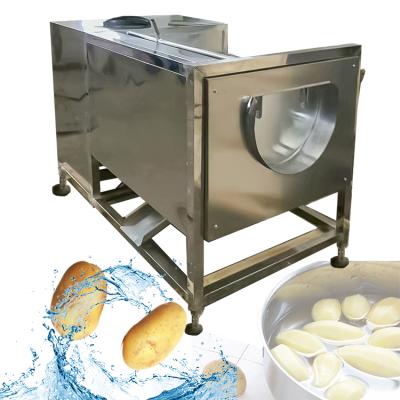 China Industrial Roller Seal Snacks Plant Brush Vegetable Washing Machine For Fruit Potato Washing for sale