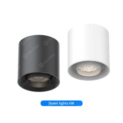 China Adjustable Anti Glare Magnetic Spotlight 3000k 6000W 24° Luminous Angle Downlight for sale