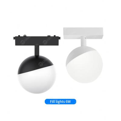 China Smart Graffiti Magnetic Track Light Living Room Hotel Spherical 6W Floodlight for sale