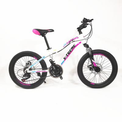 China Steel OEM Customized Kids Bike Mountain Bike 20 Inch Colorful Kids Bike Aluminum Bicycle Frame 21speed for sale