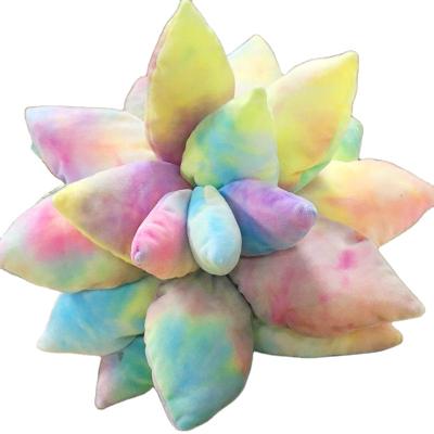 China Wholesale Popular Rainbow Plant Decor Succulent Plants Anti-Static Pillow Stuffed Pillows On Sofa Bedroom for sale