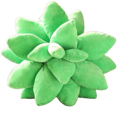 China Lovely Plush Cartoon Plant Stuffed Plush Decor Succulent Pillows Kids Anti-static Custom Creative Soft Plush Decor for sale