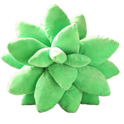 China Plants Soft Realistic Succulent Plush Stuffed Toy Succulent Pillow Decoration for sale